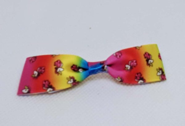 Rainbow Hair clips